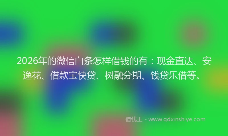 2026年的微信白条怎样借钱的有：现金直达、安逸花、借款宝快贷、树融分期、钱贷乐借等。