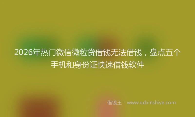 2026年热门微信微粒贷借钱无法借钱，盘点五个手机和身份证快速借钱软件