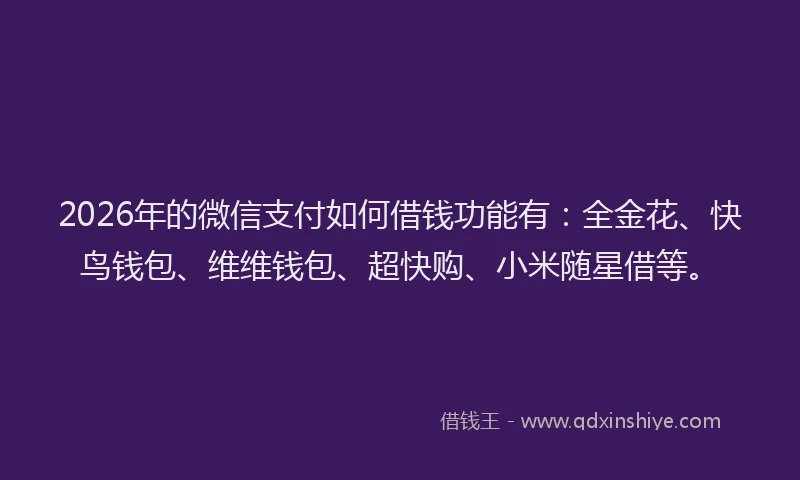 2026年的微信支付如何借钱功能有：全金花、快鸟钱包、维维钱包、超快购、小米随星借等。