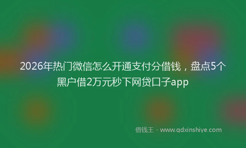 2026年热门微信怎么开通支付分借钱，盘点5个黑户借2万元秒下网贷口子app
