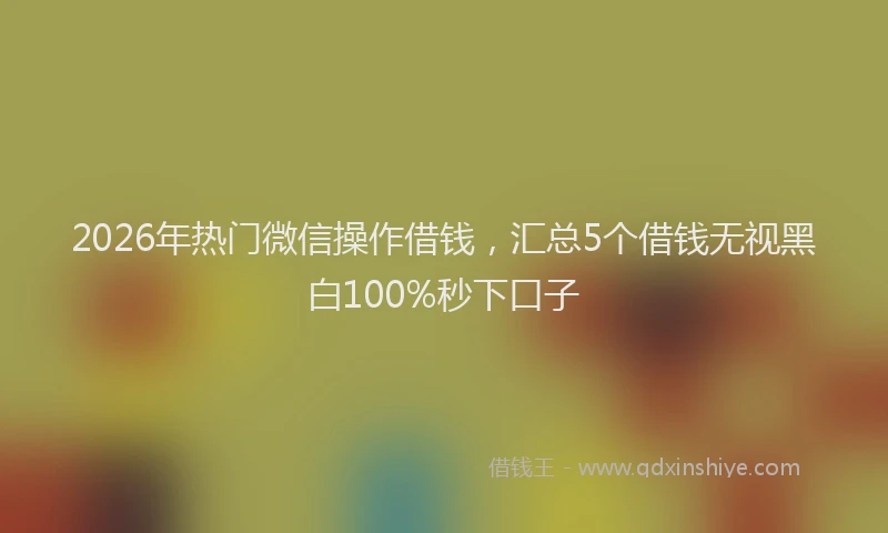 2026年热门微信操作借钱，汇总5个借钱无视黑白100%秒下口子