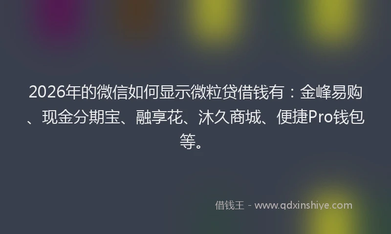 2026年的微信如何显示微粒贷借钱有:金峰易购、现金分期宝、融享花、沐久商城、便捷Pro钱包等。