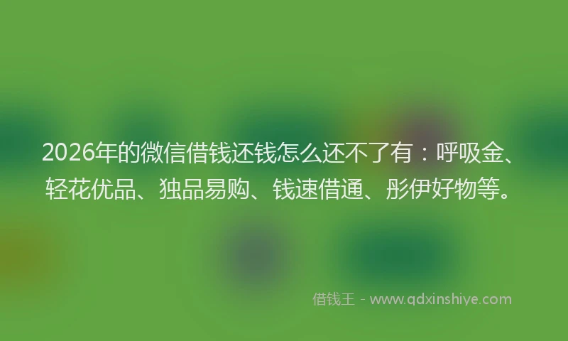 2026年的微信借钱还钱怎么还不了有：呼吸金、轻花优品、独品易购、钱速借通、彤伊好物等。