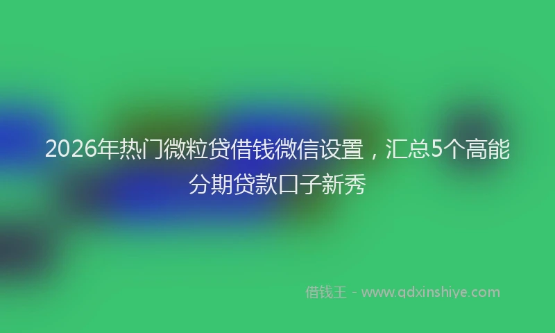 2026年热门微粒贷借钱微信设置，汇总5个高能分期贷款口子新秀