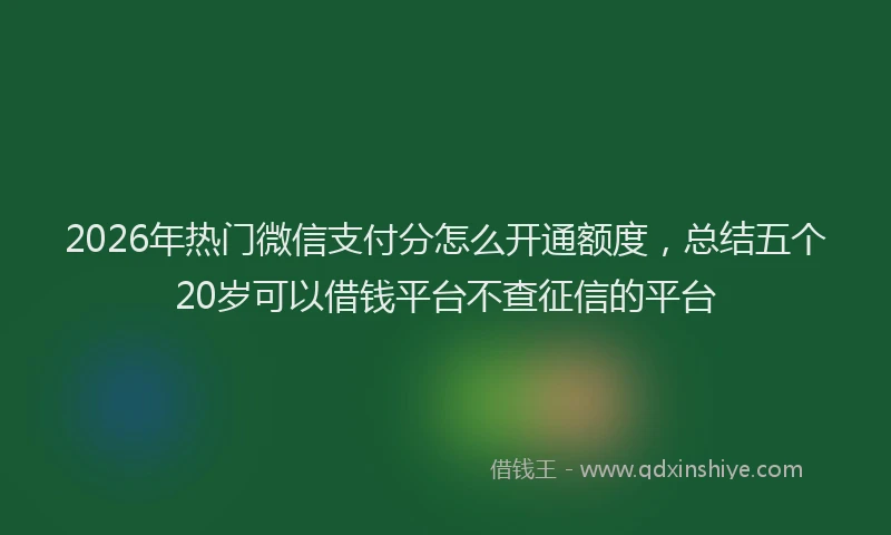 2026年热门微信支付分怎么开通额度,总结五个20岁可以借钱平台不查征信的平台