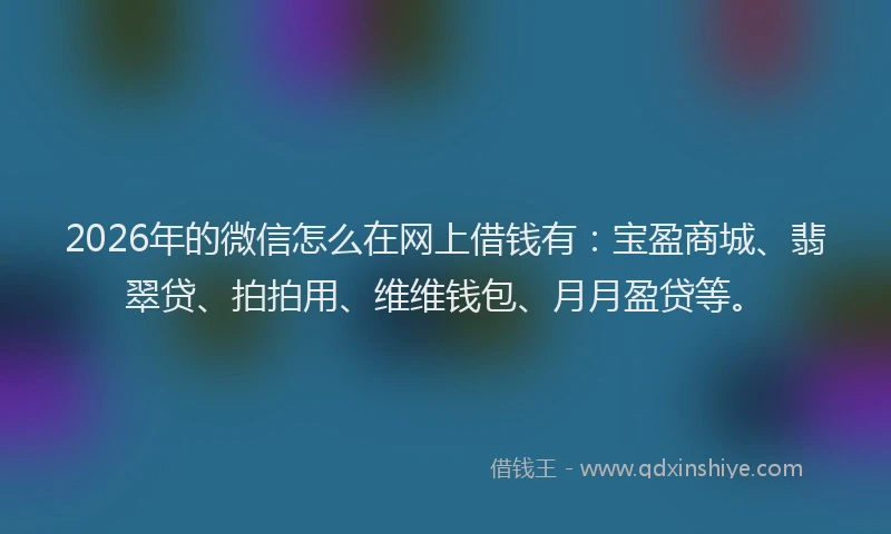 2026年的微信怎么在网上借钱有：宝盈商城、翡翠贷、拍拍用、维维钱包、月月盈贷等。