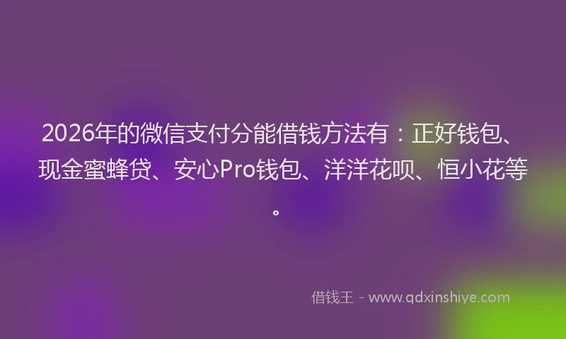 2026年的微信支付分能借钱方法有：正好钱包、现金蜜蜂贷、安心Pro钱包、洋洋花呗、恒小花等。