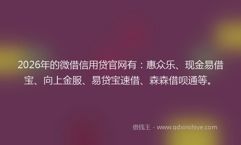 2026年的微借信用贷官网有：惠众乐、现金易借宝、向上金服、易贷宝速借、森森借呗通等。