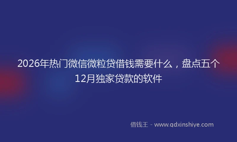 2026年热门微信微粒贷借钱需要什么，盘点五个12月独家贷款的软件