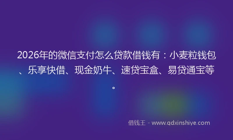 2026年的微信支付怎么贷款借钱有：小麦粒钱包、乐享快借、现金奶牛、速贷宝盒、易贷通宝等。