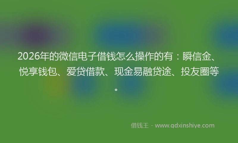2026年的微信电子借钱怎么操作的有：瞬信金、悦享钱包、爱贷借款、现金易融贷途、投友圈等。