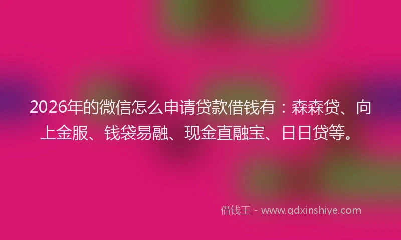 2026年的微信怎么申请贷款借钱有：森森贷、向上金服、钱袋易融、现金直融宝、日日贷等。