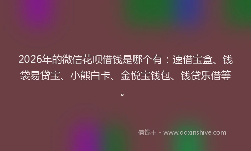 2026年的微信花呗借钱是哪个有：速借宝盒、钱袋易贷宝、小熊白卡、金悦宝钱包、钱贷乐借等。