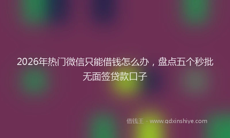 2026年热门微信只能借钱怎么办，盘点五个秒批无面签贷款口子