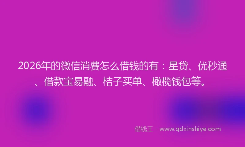 2026年的微信消费怎么借钱的有:星贷、优秒通、借款宝易融、桔子买单、橄榄钱包等。