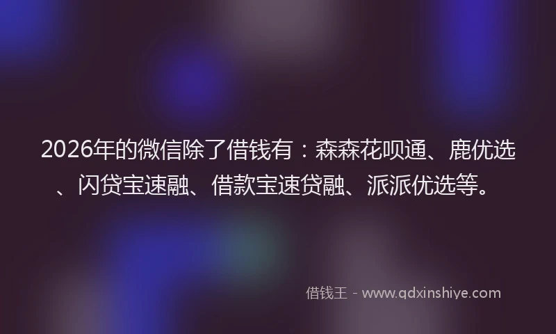 2026年的微信除了借钱有：森森花呗通、鹿优选、闪贷宝速融、借款宝速贷融、派派优选等。