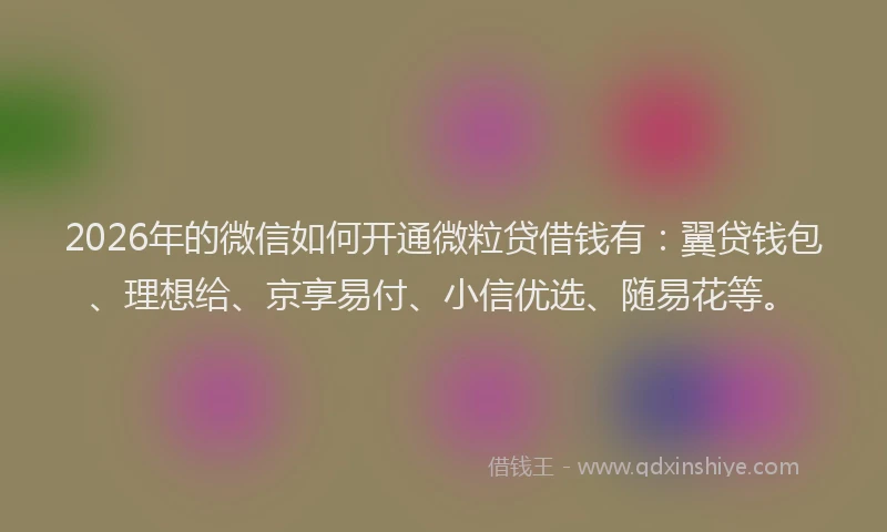 2026年的微信如何开通微粒贷借钱有:翼贷钱包、理想给、京享易付、小信优选、随易花等。