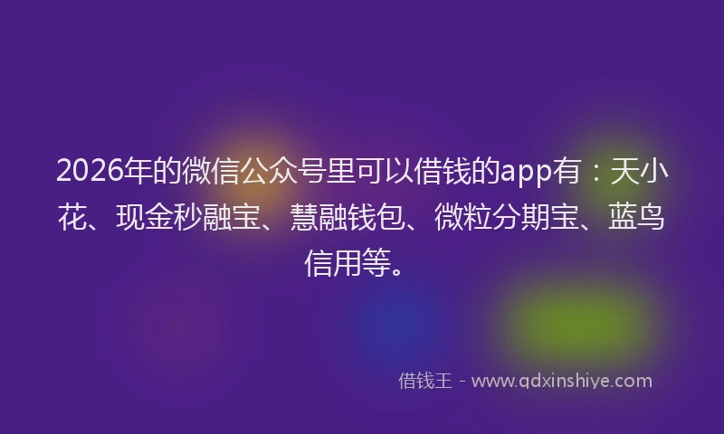 2026年的微信公众号里可以借钱的app有：天小花、现金秒融宝、慧融钱包、微粒分期宝、蓝鸟信用等。