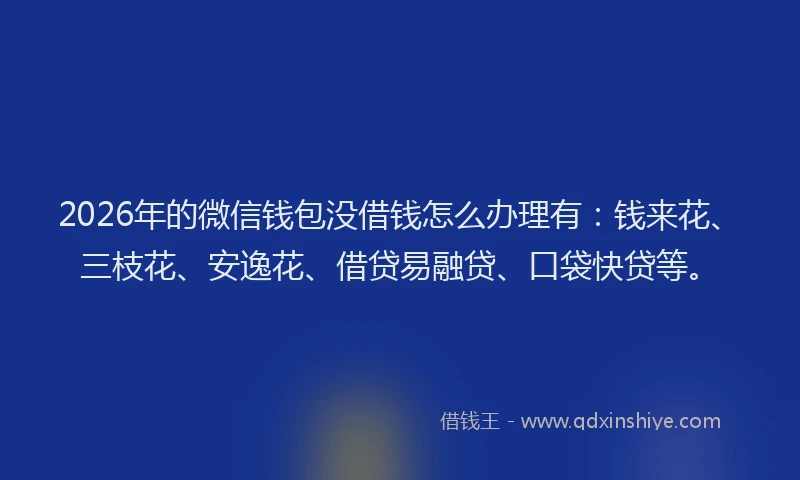 2026年的微信钱包没借钱怎么办理有：钱来花、三枝花、安逸花、借贷易融贷、口袋快贷等。