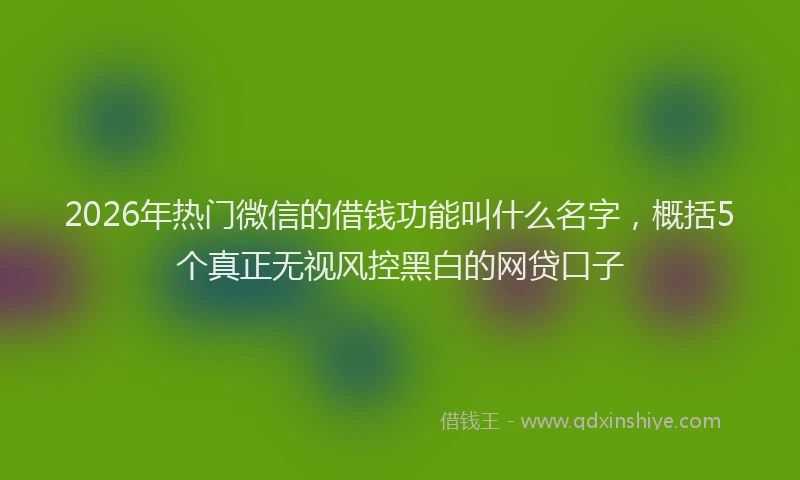 2026年热门微信的借钱功能叫什么名字，概括5个真正无视风控黑白的网贷口子