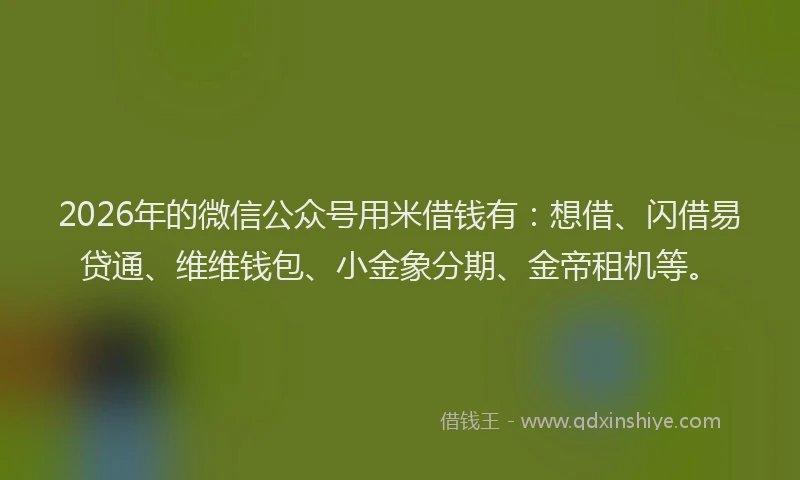 2026年的微信公众号用米借钱有：想借、闪借易贷通、维维钱包、小金象分期、金帝租机等。