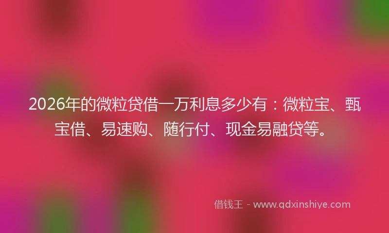 2026年的微粒贷借一万利息多少有：微粒宝、甄宝借、易速购、随行付、现金易融贷等。