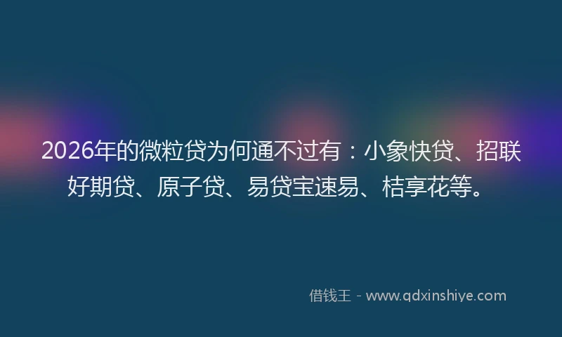 2026年的微粒贷为何通不过有：小象快贷、招联好期贷、原子贷、易贷宝速易、桔享花等。
