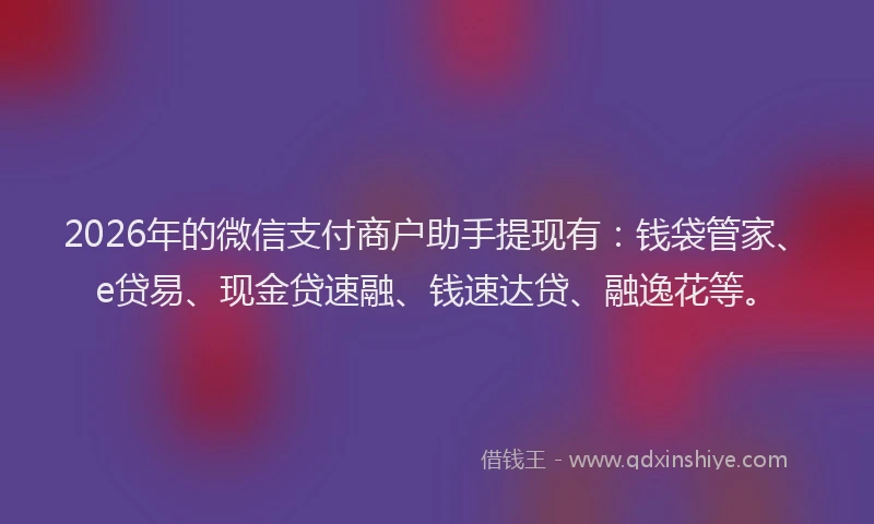 2026年的微信支付商户助手提现有：钱袋管家、e贷易、现金贷速融、钱速达贷、融逸花等。