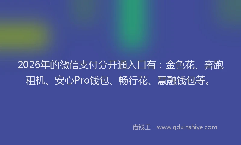 2026年的微信支付分开通入口有：金色花、奔跑租机、安心Pro钱包、畅行花、慧融钱包等。