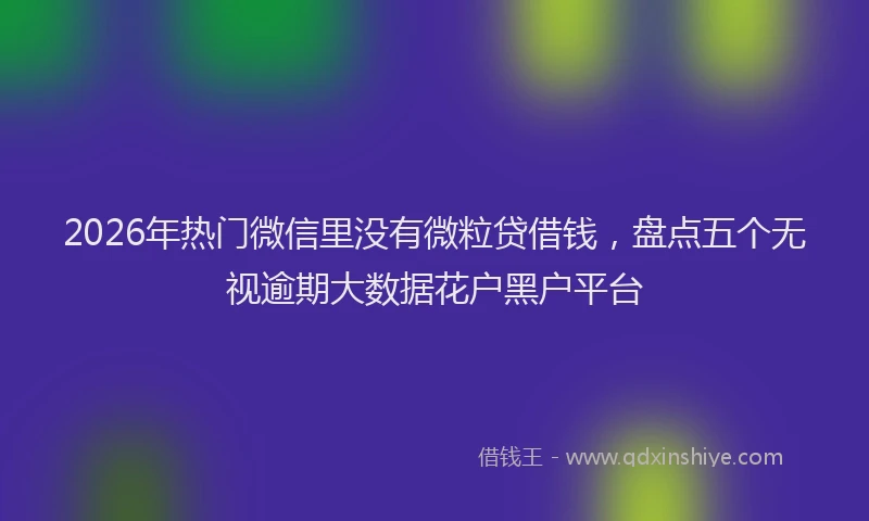 2026年热门微信里没有微粒贷借钱，盘点五个无视逾期大数据花户黑户平台