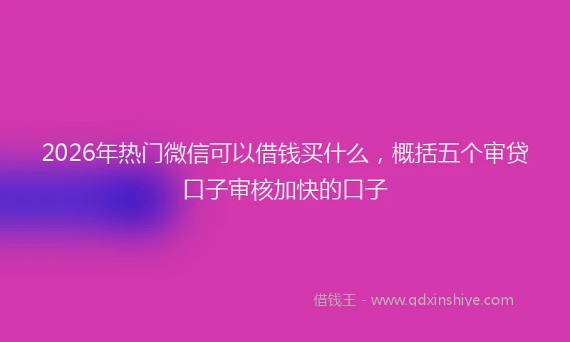 2026年热门微信可以借钱买什么，概括五个审贷口子审核加快的口子