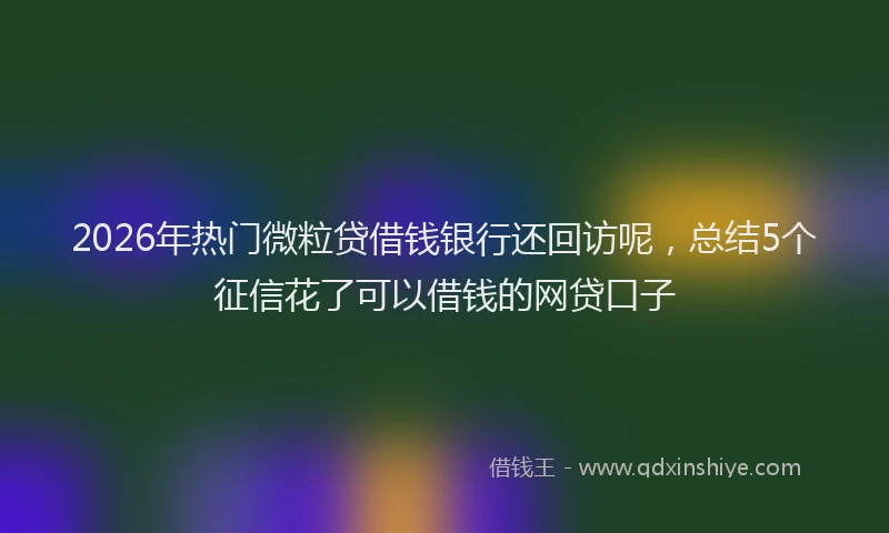 2026年热门微粒贷借钱银行还回访呢，总结5个征信花了可以借钱的网贷口子