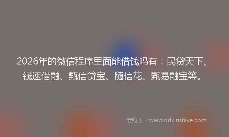2026年的微信程序里面能借钱吗有:民贷天下、钱速借融、甄信贷宝、随信花、甄易融宝等。