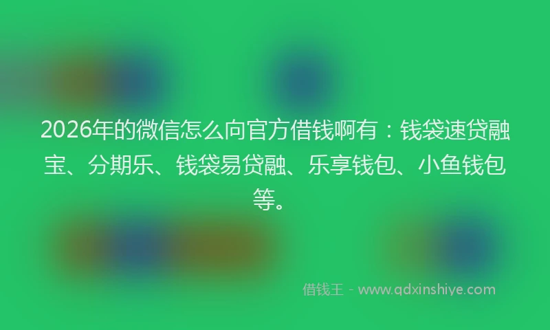 2026年的微信怎么向官方借钱啊有：钱袋速贷融宝、分期乐、钱袋易贷融、乐享钱包、小鱼钱包等。