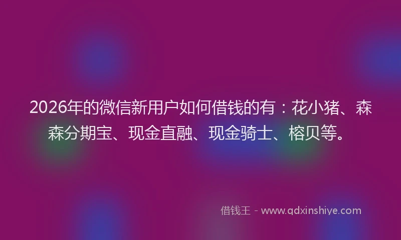 2026年的微信新用户如何借钱的有：花小猪、森森分期宝、现金直融、现金骑士、榕贝等。