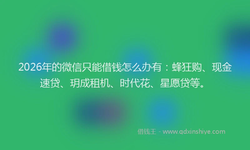 2026年的微信只能借钱怎么办有：蜂狂购、现金速贷、玥成租机、时代花、星愿贷等。