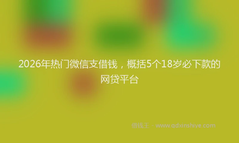 2026年热门微信支借钱，概括5个18岁必下款的网贷平台