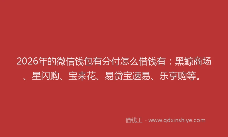 2026年的微信钱包有分付怎么借钱有：黑鲸商场、星闪购、宝来花、易贷宝速易、乐享购等。