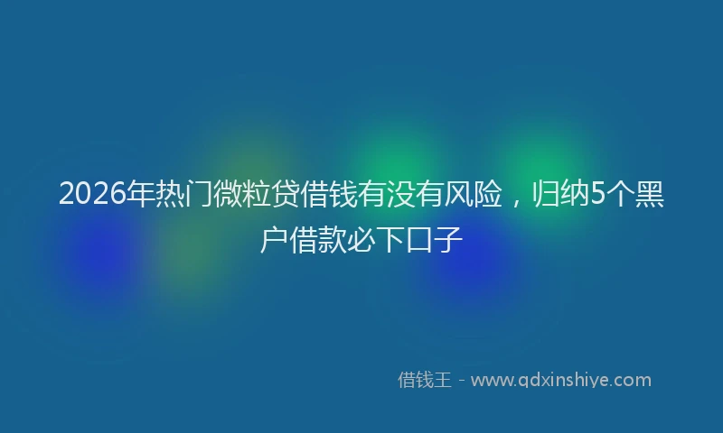 2026年热门微粒贷借钱有没有风险，归纳5个黑户借款必下口子