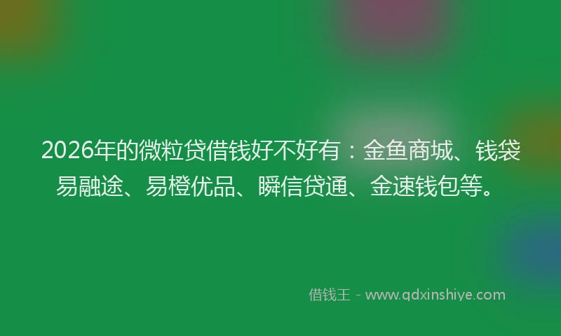 2026年的微粒贷借钱好不好有：金鱼商城、钱袋易融途、易橙优品、瞬信贷通、金速钱包等。