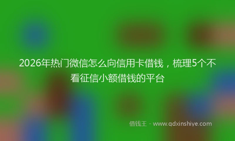 2026年热门微信怎么向信用卡借钱，梳理5个不看征信小额借钱的平台