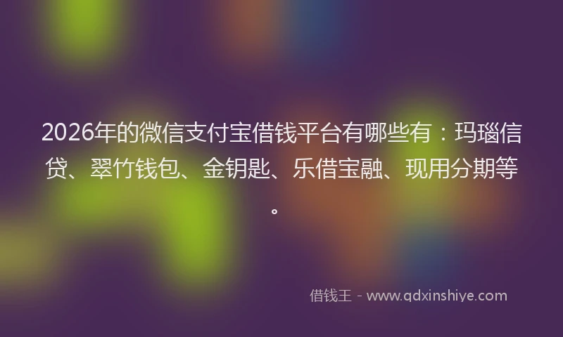 2026年的微信支付宝借钱平台有哪些有：玛瑙信贷、翠竹钱包、金钥匙、乐借宝融、现用分期等。