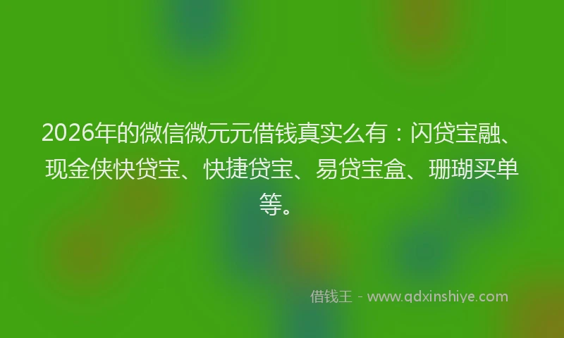 2026年的微信微元元借钱真实么有：闪贷宝融、现金侠快贷宝、快捷贷宝、易贷宝盒、珊瑚买单等。