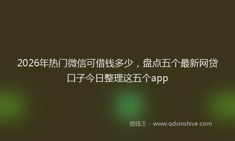 2026年热门微信可借钱多少，盘点五个最新网贷口子今日整理这五个app