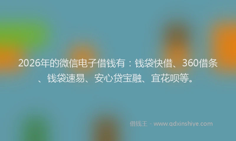 2026年的微信电子借钱有：钱袋快借、360借条、钱袋速易、安心贷宝融、宜花呗等。