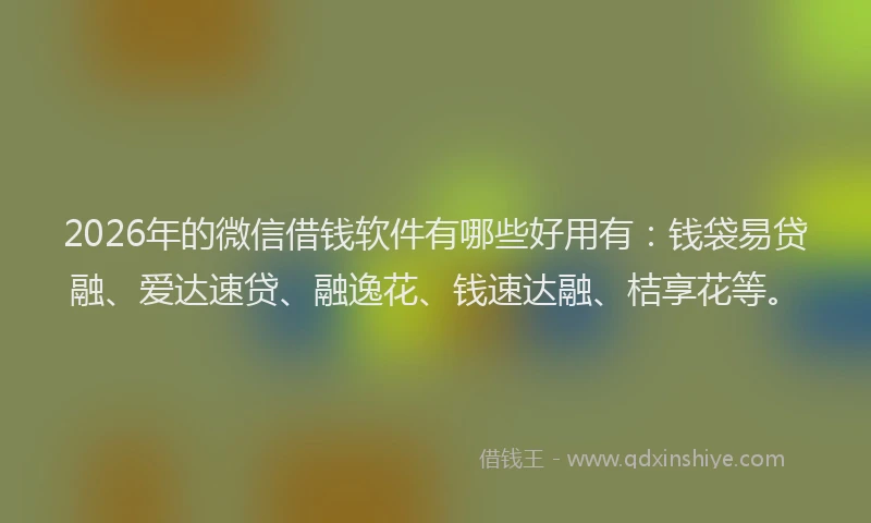 2026年的微信借钱软件有哪些好用有：钱袋易贷融、爱达速贷、融逸花、钱速达融、桔享花等。