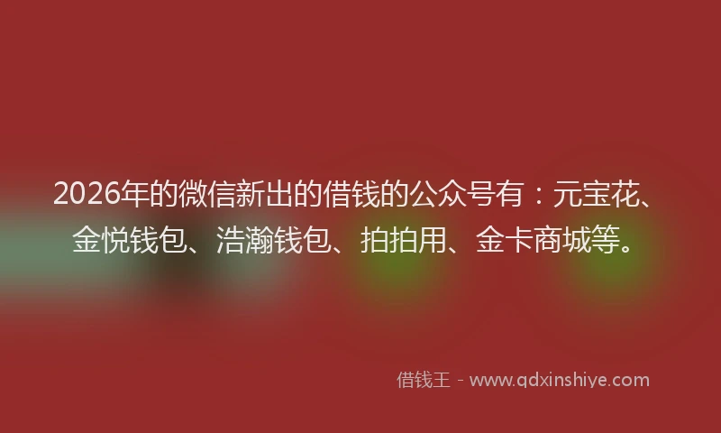 2026年的微信新出的借钱的公众号有：元宝花、金悦钱包、浩瀚钱包、拍拍用、金卡商城等。