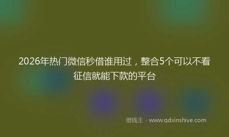 2026年热门微信秒借谁用过，整合5个可以不看征信就能下款的平台