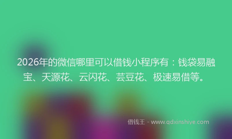 2026年的微信哪里可以借钱小程序有：钱袋易融宝、天源花、云闪花、芸豆花、极速易借等。