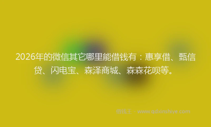 2026年的微信其它哪里能借钱有:惠享借、甄信贷、闪电宝、森泽商城、森森花呗等。